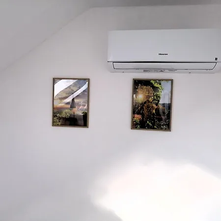 דירות זנוימו Vino Andrusiow מראה חיצוני תמונה